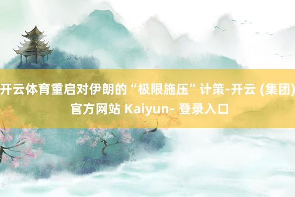 开云体育重启对伊朗的“极限施压”计策-开云 (集团) 官方网站 Kaiyun- 登录入口